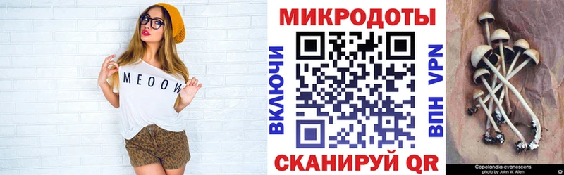 купить наркоту  Ялуторовск  mega зеркало  Псилоцибиновые грибы Psilocybe 
